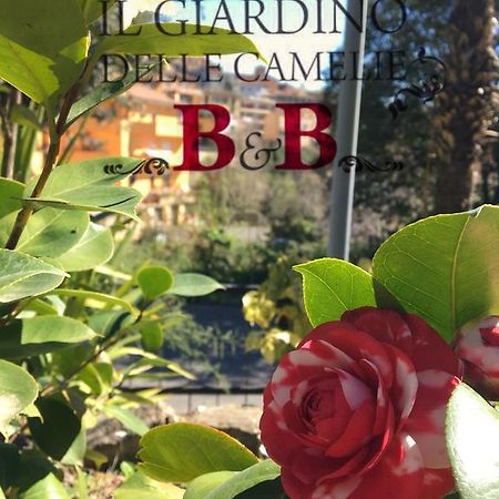 B&B Il Giardino Delle Camelie Palestrina Extérieur photo