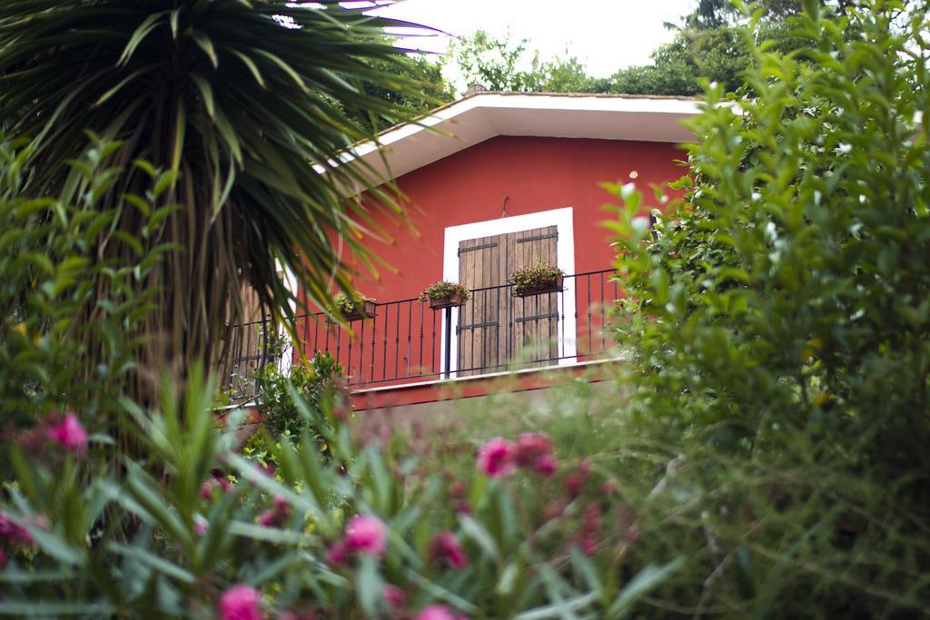 B&B Il Giardino Delle Camelie Palestrina Extérieur photo