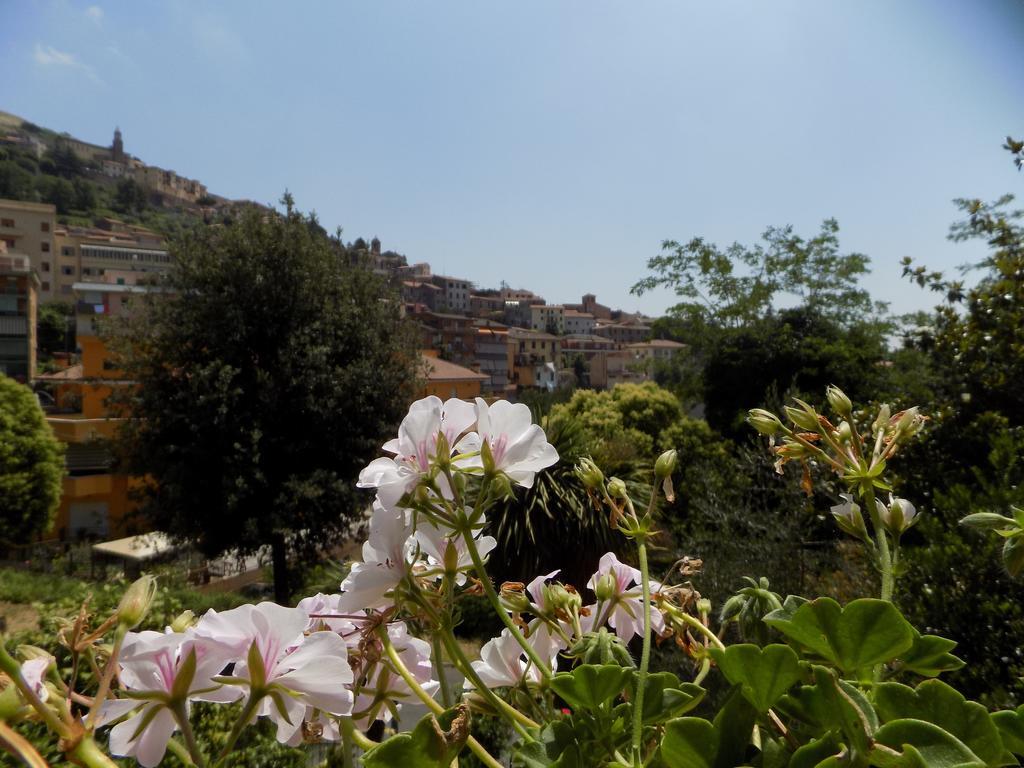 B&B Il Giardino Delle Camelie Palestrina Extérieur photo