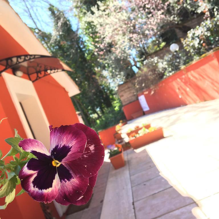 B&B Il Giardino Delle Camelie Palestrina Extérieur photo