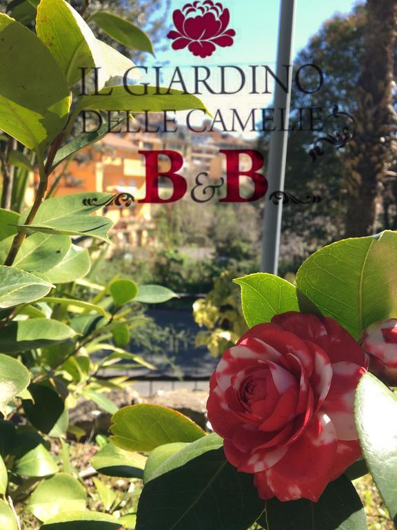 B&B Il Giardino Delle Camelie Palestrina Extérieur photo