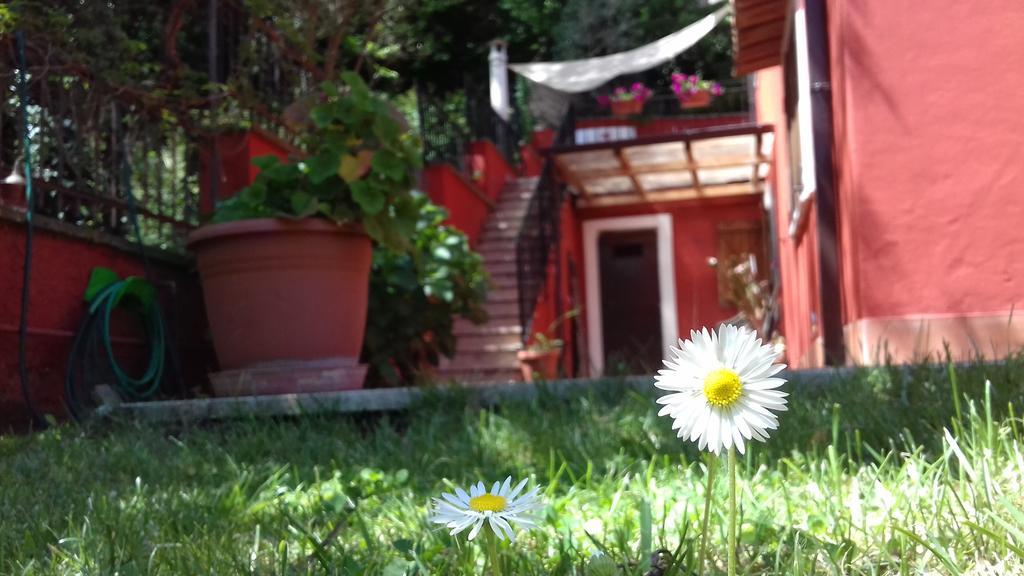 B&B Il Giardino Delle Camelie Palestrina Extérieur photo