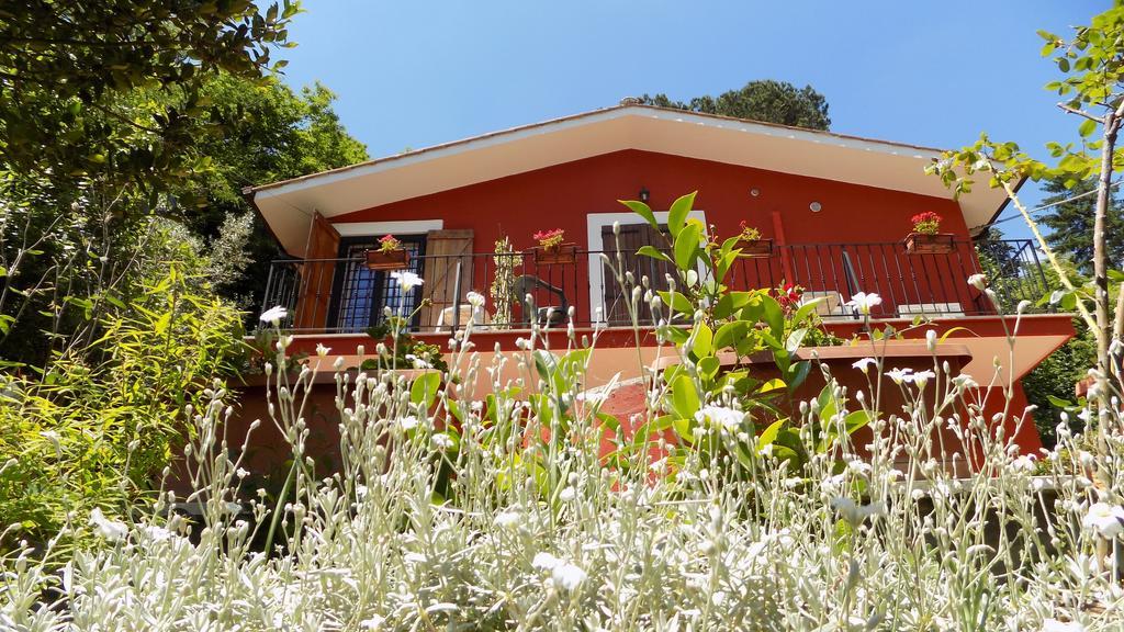 B&B Il Giardino Delle Camelie Palestrina Extérieur photo